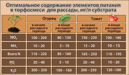 ✅ о почве для помидор: кислая или щелочная, какой грунт любит рассада томатов