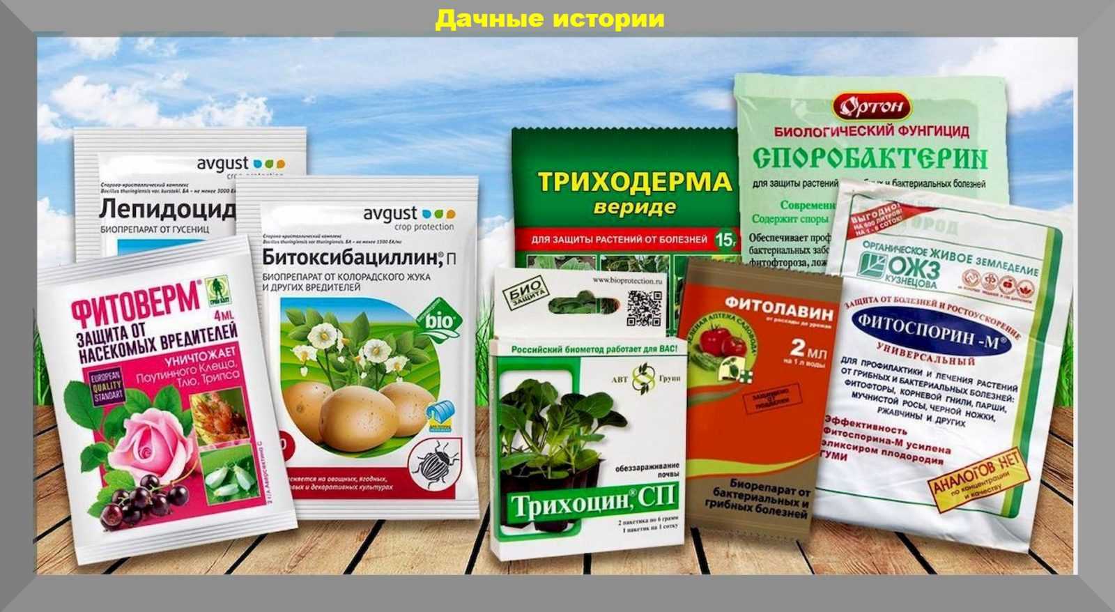 Препарат хорус — инструкция по применению для обработки растений от болезней, совместимость и дозировка