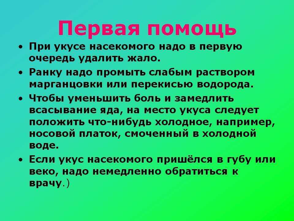 Что делать, если укусила пчела или оса? :: инфониак