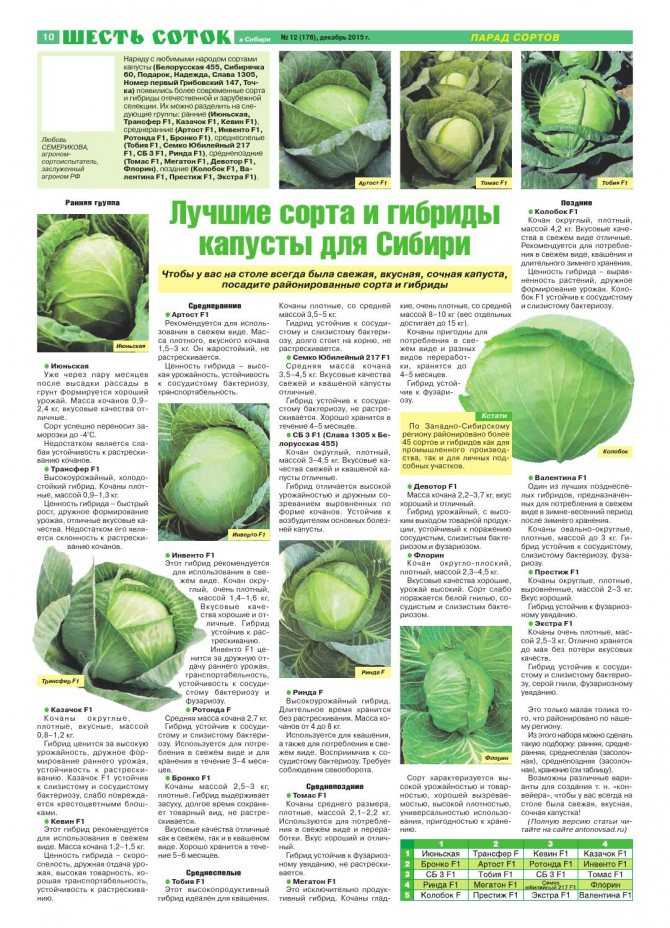 Капуста: виды, описание 33 лучших сортов | (фото) +отзывы