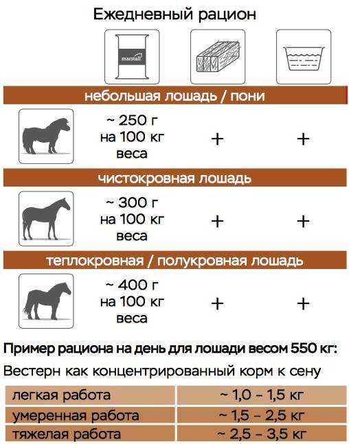 Вес лошади: сколько весит самый большой конь в мире, весовые категории