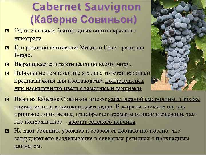 Как выращивать виноград в башкирии