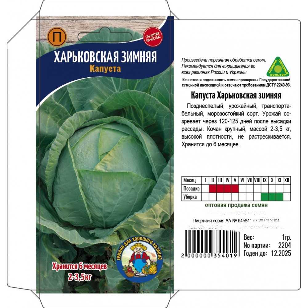 Капуста харьковская зимняя: характеристика и описание позднеспелого сорта с фото