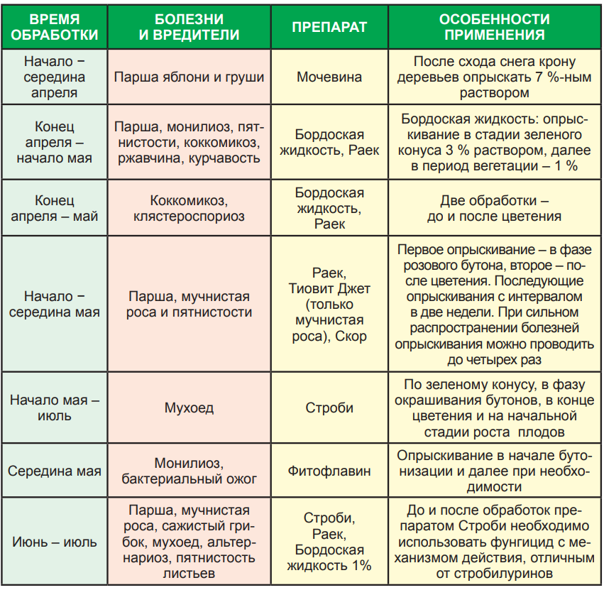 Обрабатываем яблони от вредителей после цветения: чем и как