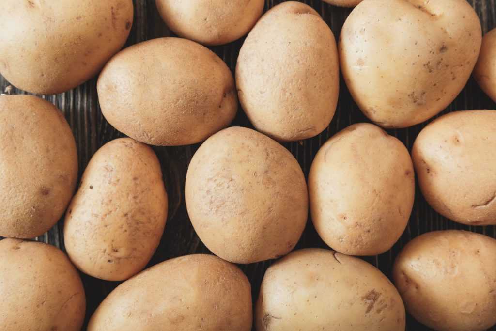Картофель молли: описание сорта, фото, отзывы о вкусовых качествах и сроках созревания, особенности ухода, выращивания и хранения, характеристика урожайности