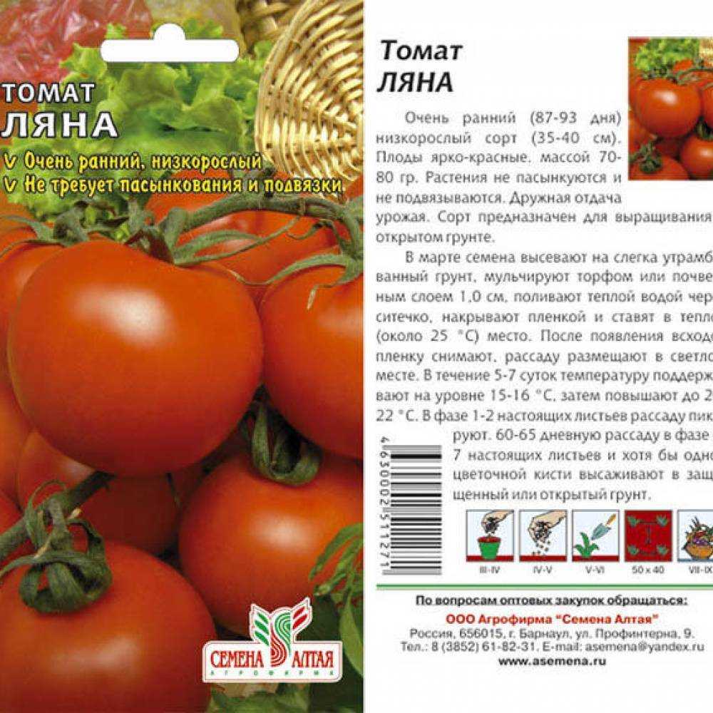 Ляна: описание сорта томата, характеристики помидоров, выращивание