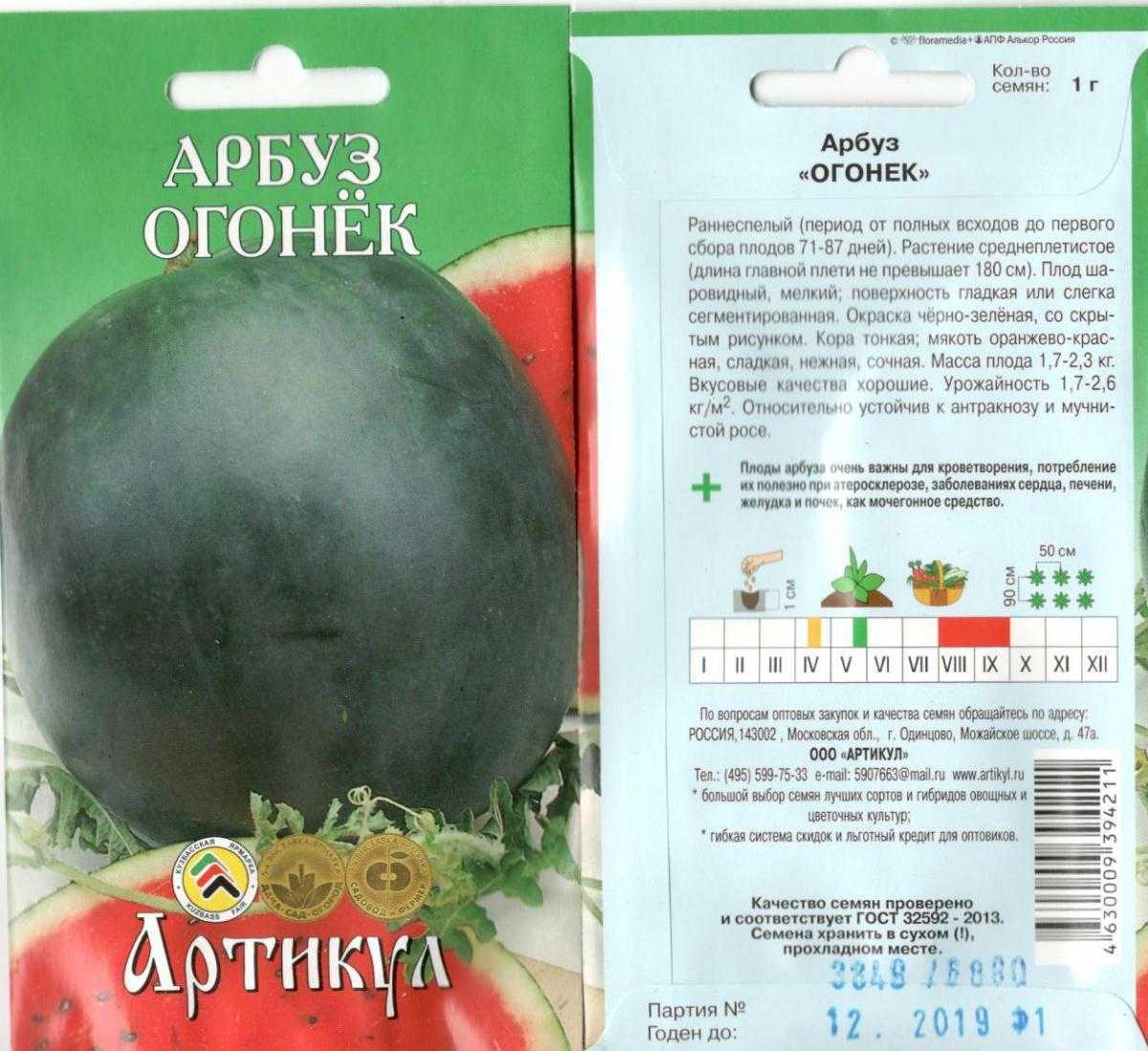 Арбуз огонек: описание сорта, выращивание и уход