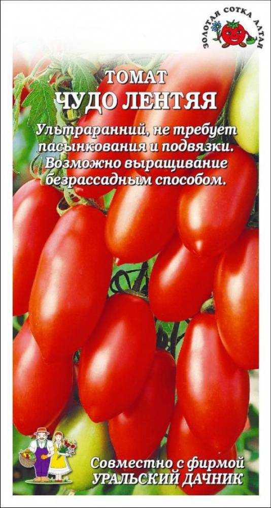 Характеристика и описание сорта томата чудо рынка, его урожайность