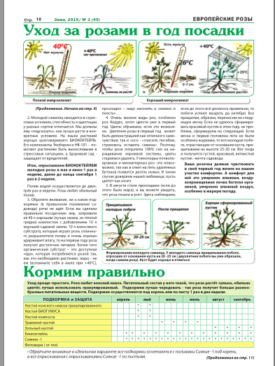 Как поливать розы - питомник растений