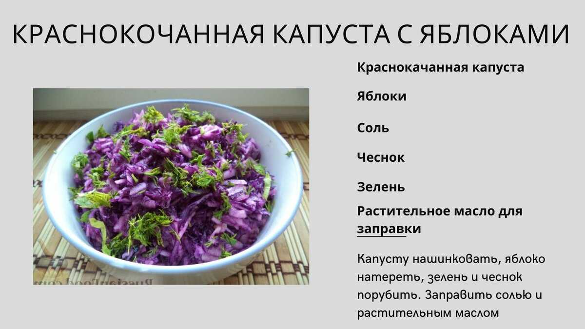 Секреты выращивания капусты краснокочанной: посадка, размножение и уход