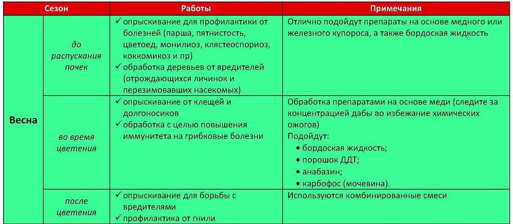 Обработка яблонь весной от болезней и вредителей