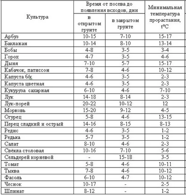 Сколько дней обычно всходят семена огурцов