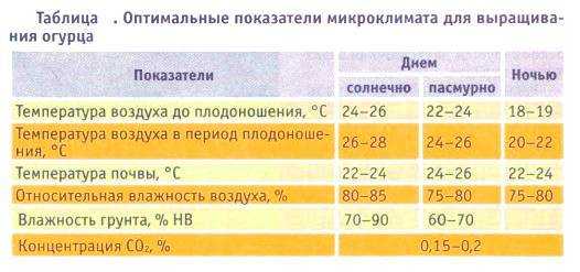Оптимальная температура воздуха и почвы для роста огурцов в открытом грунте и в теплице ночью: при какой температуре перестают расти