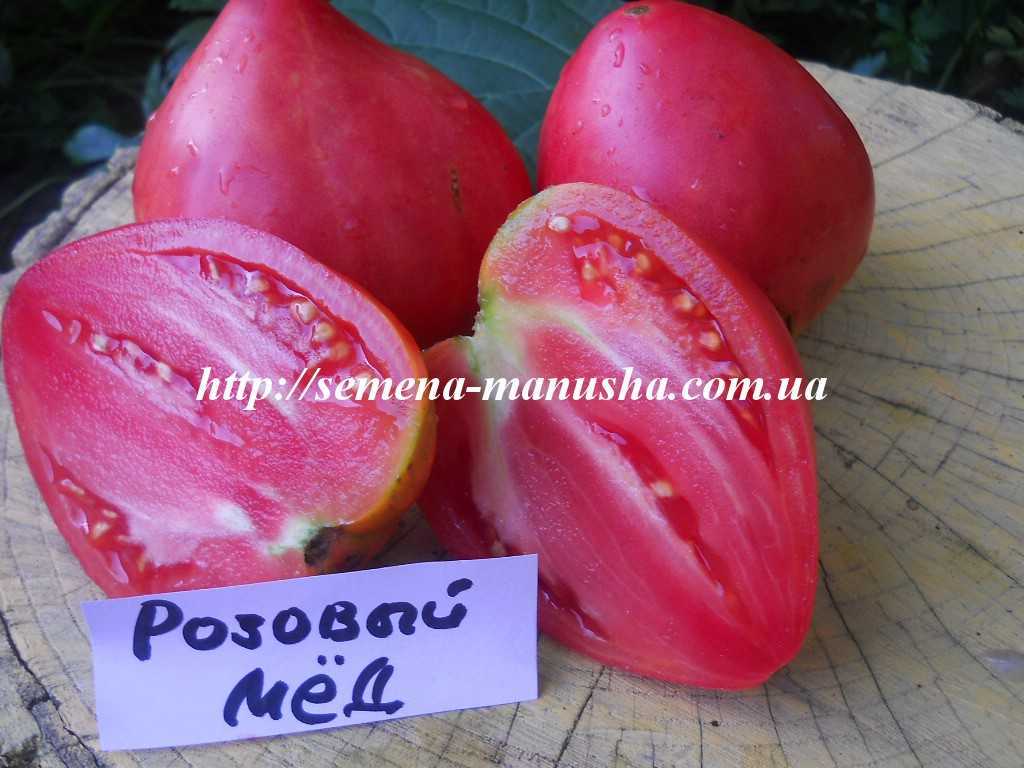 Характеристика и описание сорта томата розовый мед и его урожайность 