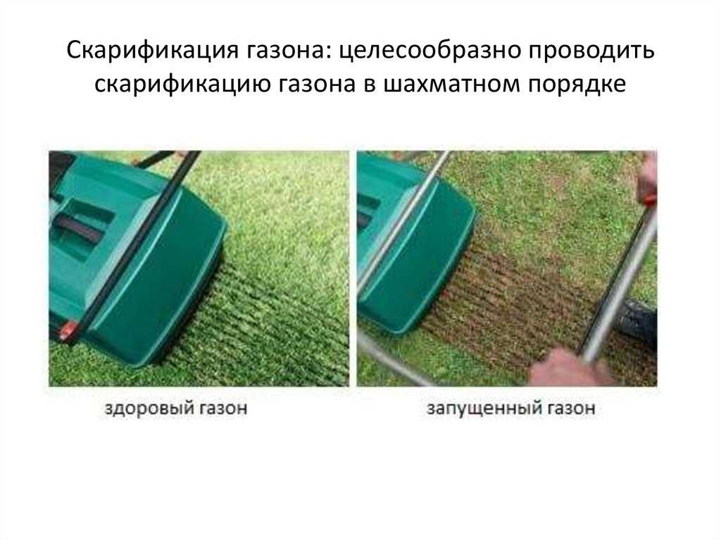 ‍♂️ рейтинг качественных аэраторов и скарификаторов на 2023 году
