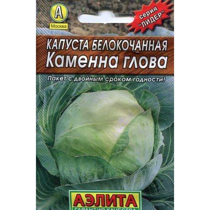 Сорт капусты сахарная голова
