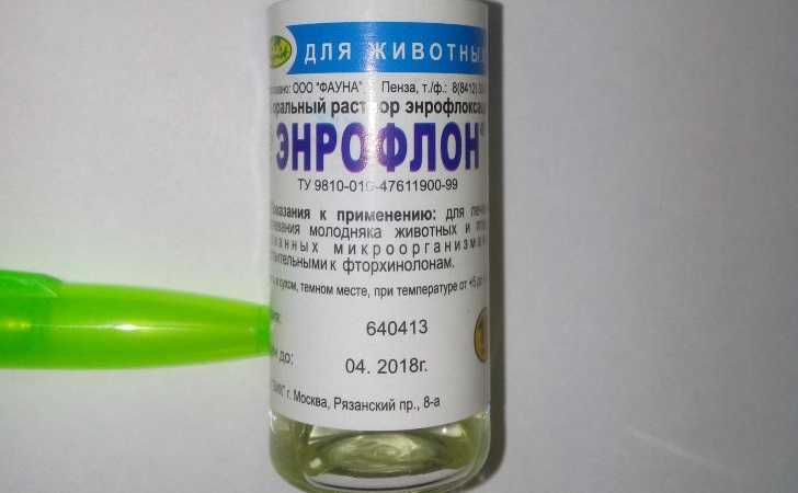 Пропойка цыплят-бройлеров