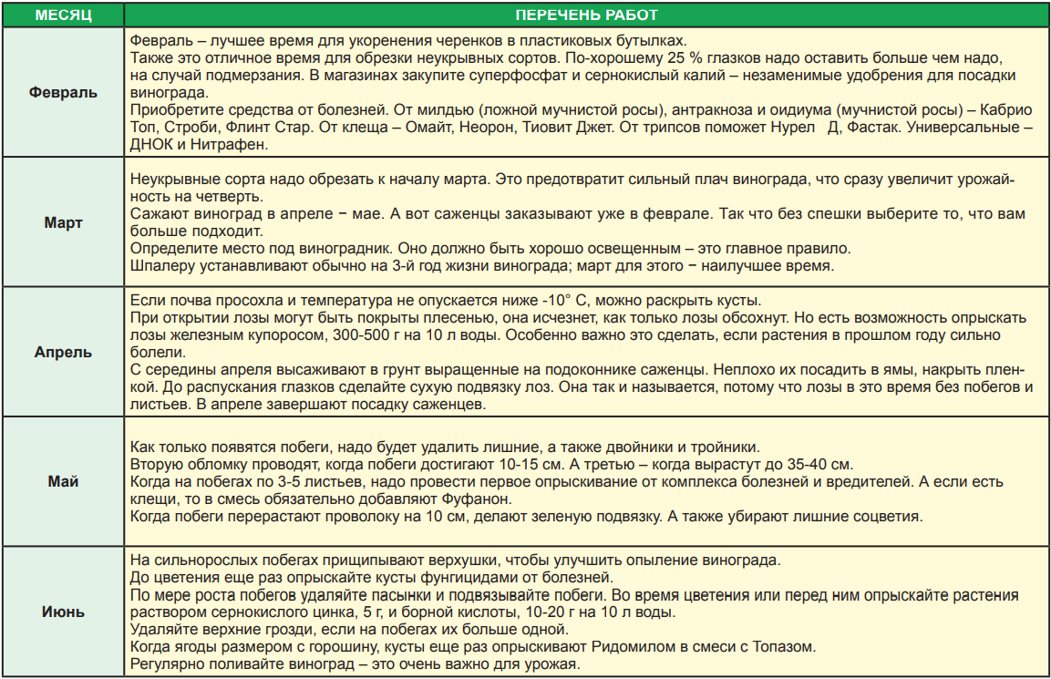 Чем, когда и как подкормить виноград весной для хорошего урожая