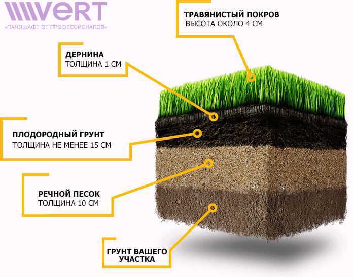 Партерный газон