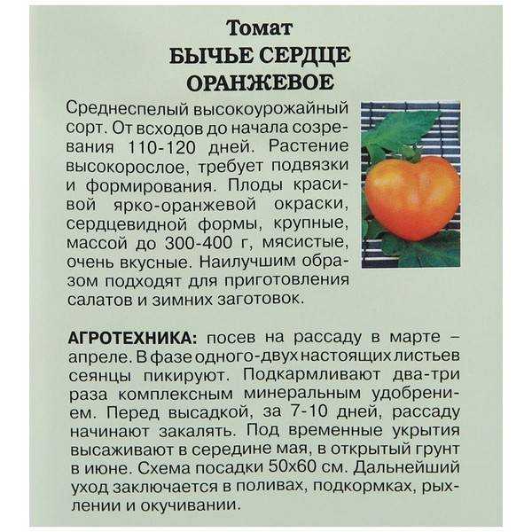 Минусинские помидоры: описание и характеристика сортов