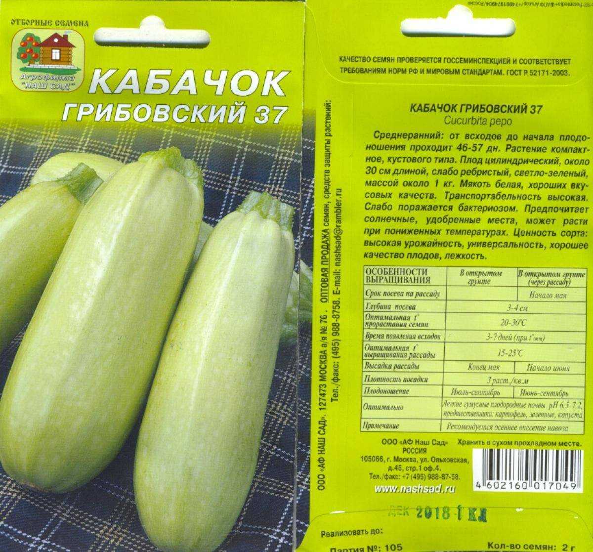 Когда и как сажать кабачки в открытый грунт: сроки посадки и правила выращивания