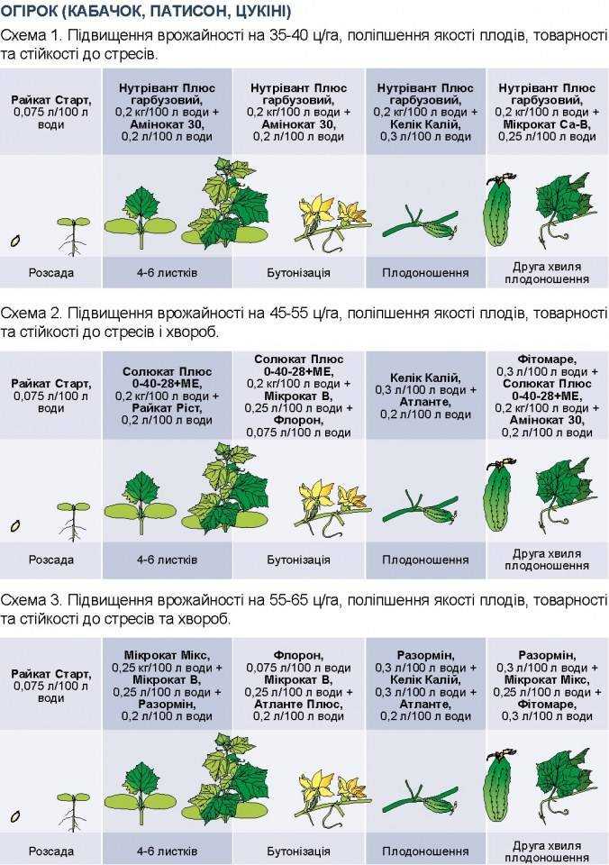 5 эффективных органических подкормок для огурцов. навоз, дрожжи, зола, травяной настой, луковая шелуха. правила внесения — ботаничка
