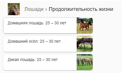 Сколько живут лошади в домашних условиях и дикой природе