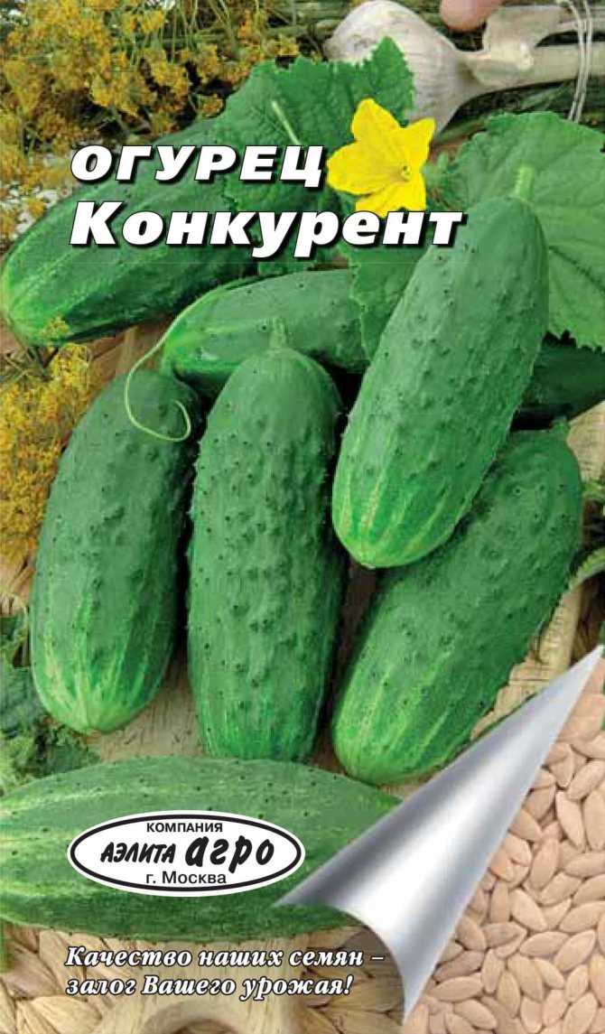 Огурцы конкурент: характеристика и описание сорта, посадка, выращивание и уход, отзывы