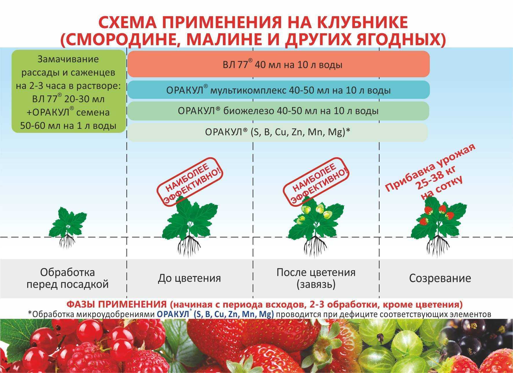 Правильный полив яблонь. информация от профессиональных агрономов