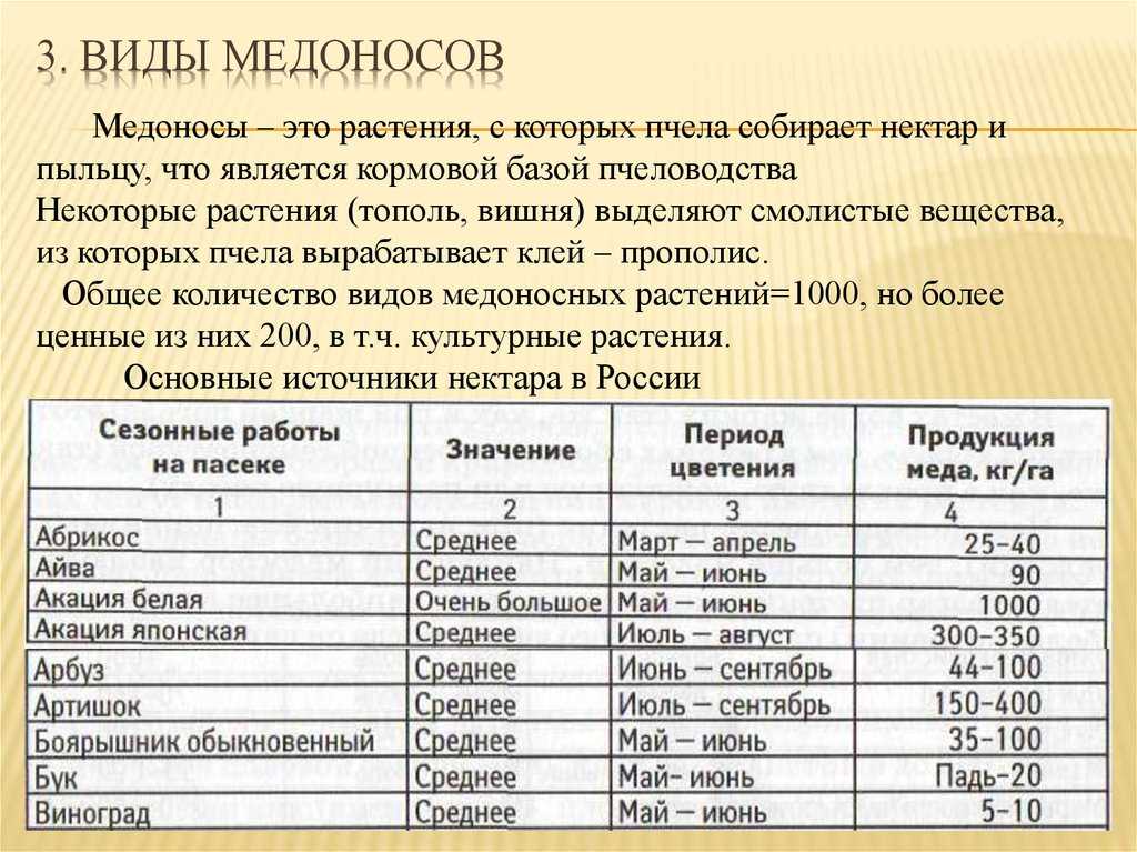 Медоносные растения и травы для пчел: названия, продуктивность, характеристики меда