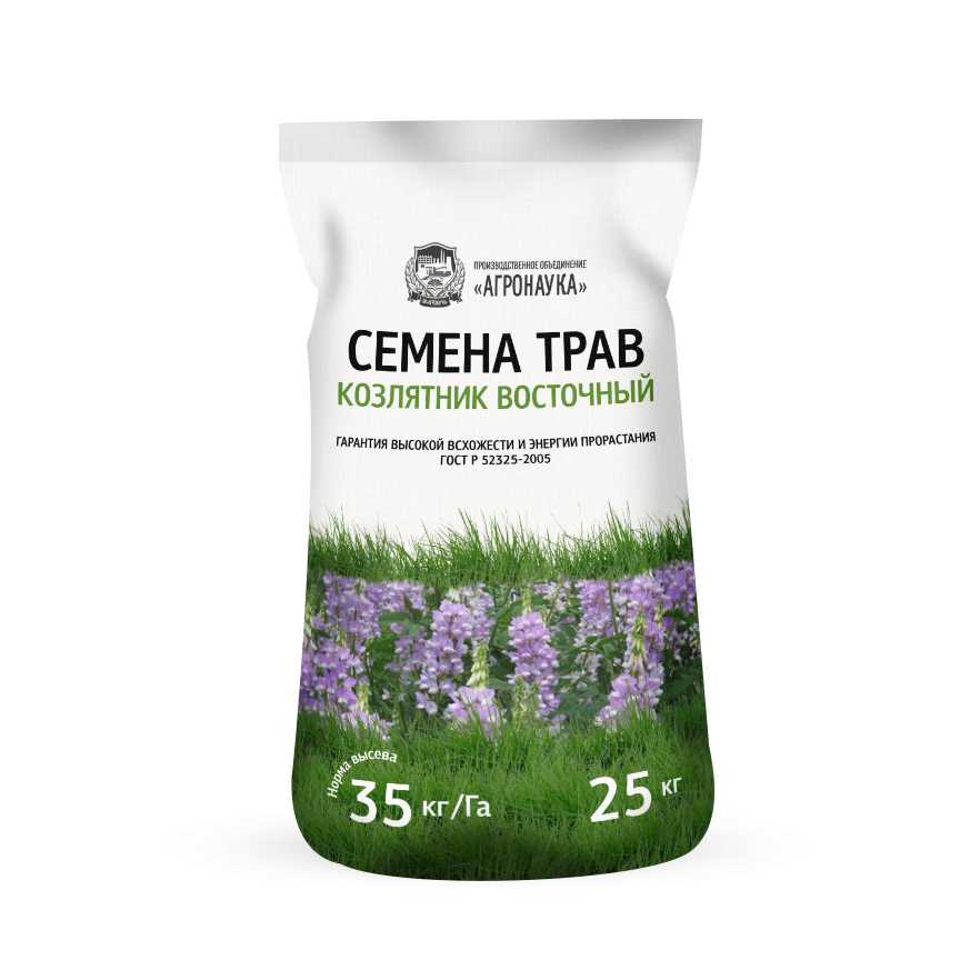 Козлятник лекарственный при диабете лечебные свойства травы галеги, применение и противопоказания