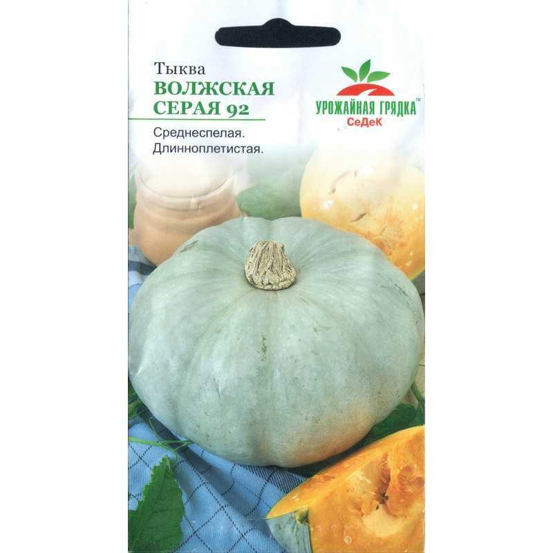 Тыква "волжская серая": описание, отзывы, фото
