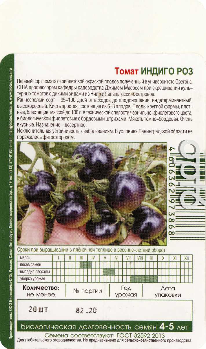 Томат индиго роуз: отзывы, описание, фото