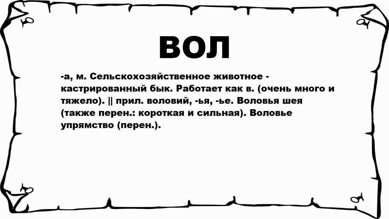 Вол животное, что такое вол, кастрированный бык (фото и видео)