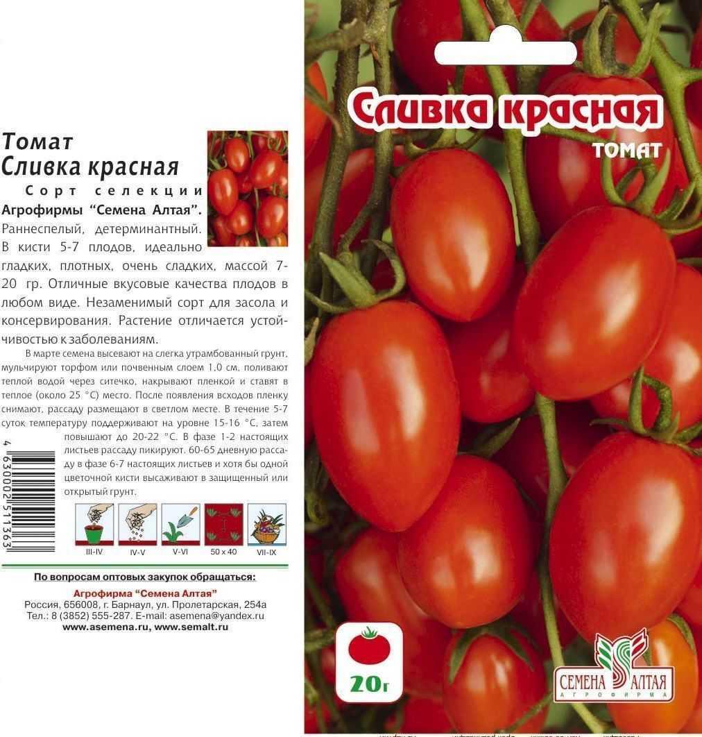 Томат палка