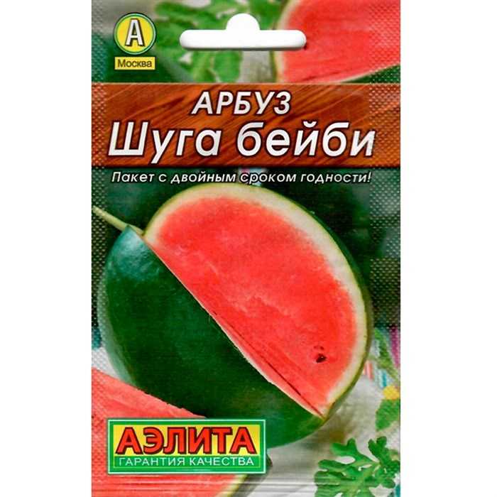 Как правильно выращивать арбузы в сибири