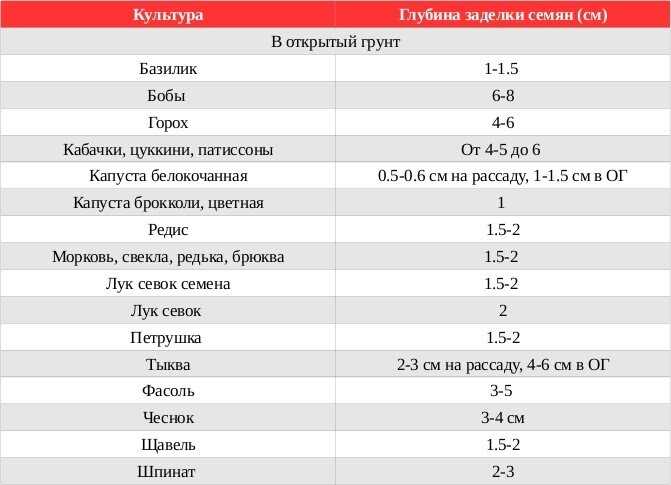 Посев кукурузы + когда сажать кукурузу в благоприятные дни