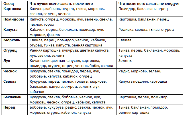 Правильная посадка лука севка весной в открытый грунт: как посадить лук на головку и на зелень