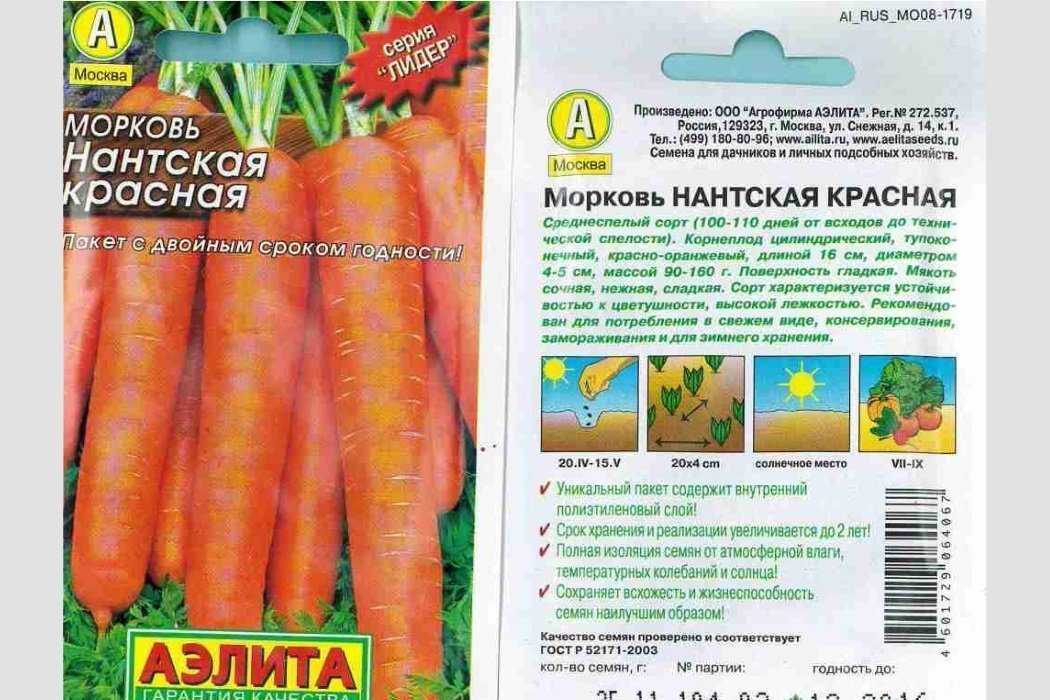 Сорт моркови детская сладость: описание, фото и отзывы