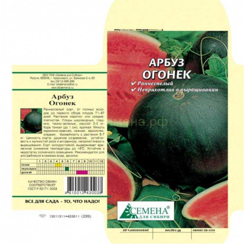 Арбуз огонек: описание сорта и характеристики, выращивание в открытом грунте, отзывы