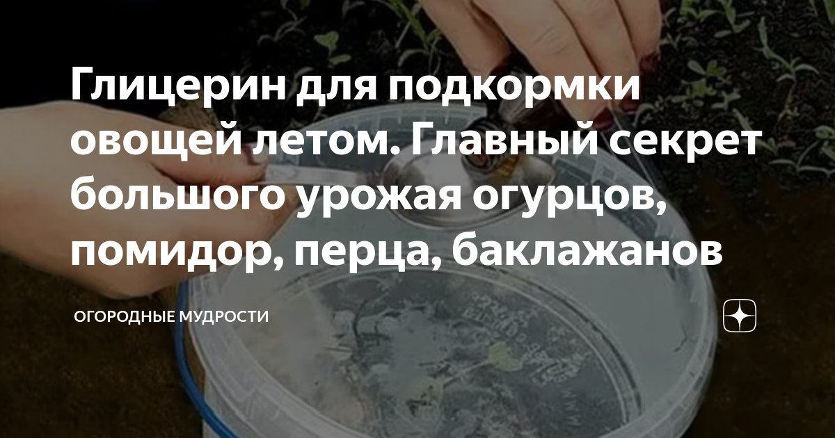 Нашатырный спирт (аммиак) для подкормки и обработки растений в огороде и саду