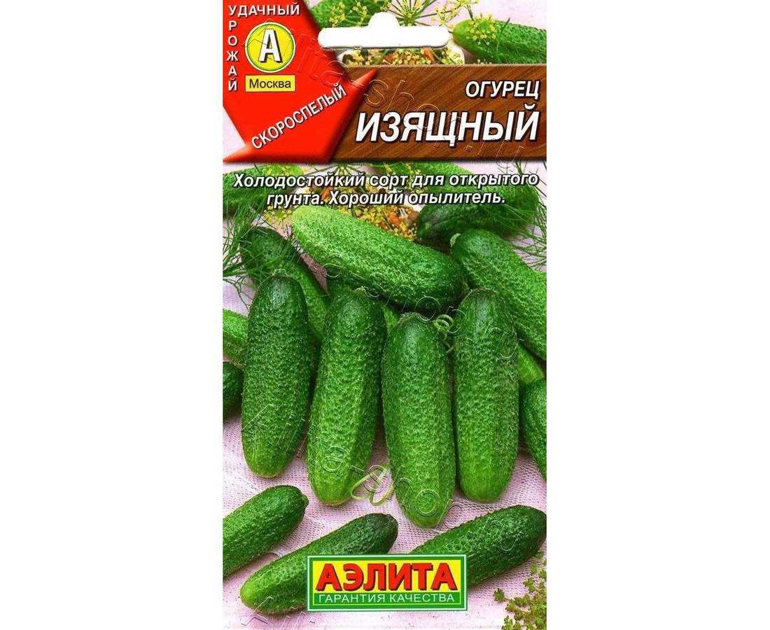 Лучшие сорта кустовых огурцов - огородные хитрости