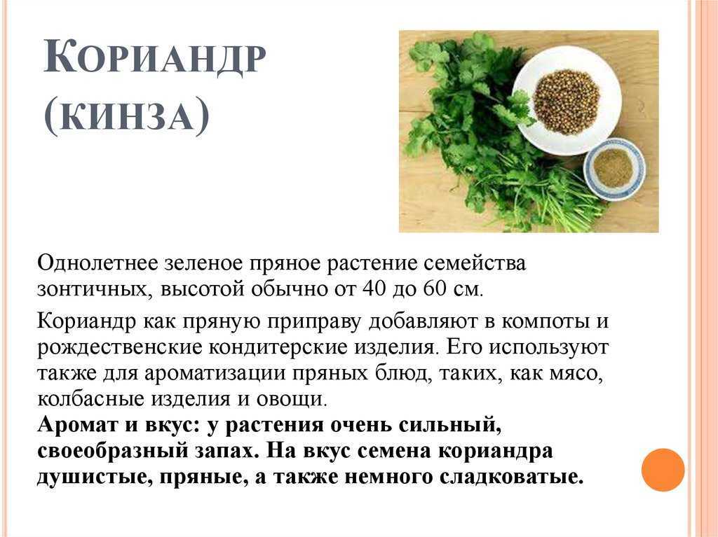 Как вырастить зеленый жирный укроп: все о сортах, выращивании, заготовке + мастер-класс по посеву