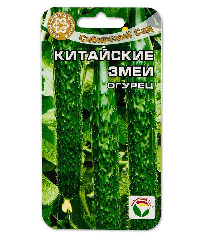 ✅ об огурце китайский змей: описание и характеристики сорта, посадка и уход