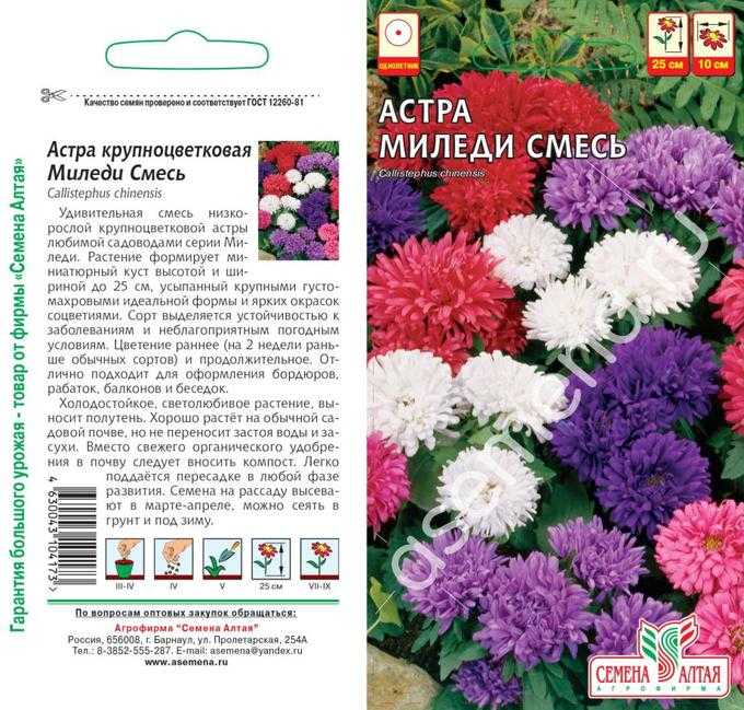 Амариллис: уход в домашних условиях, выращивание, посадка, виды и сорта, размножение, фото