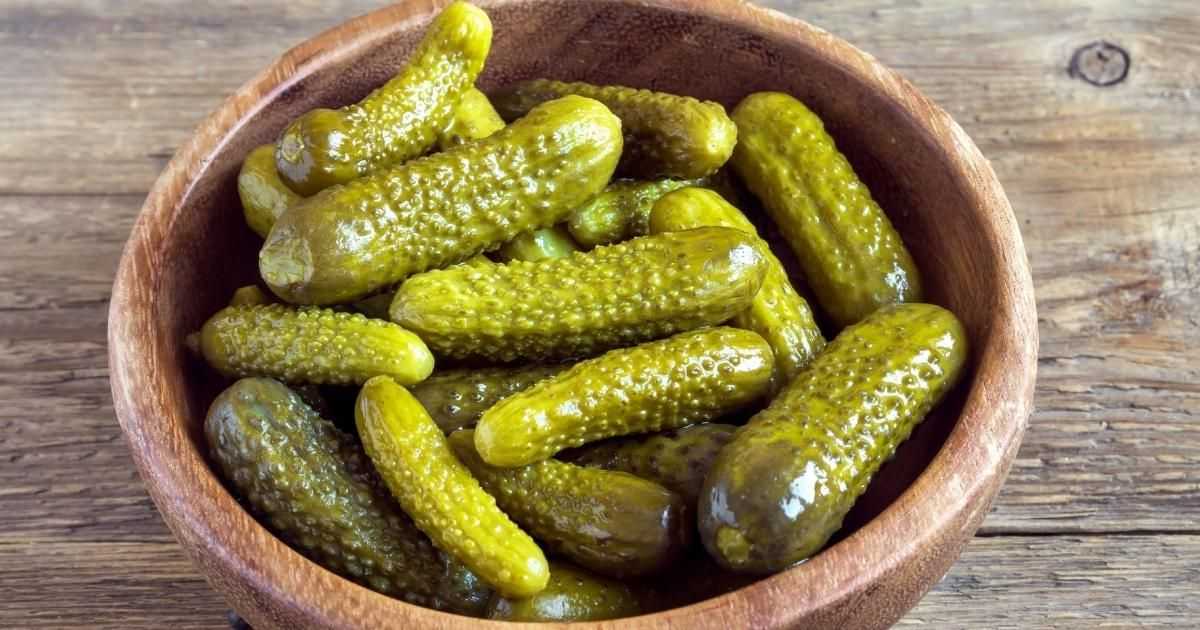 В моде кустовые огурцы: как выбрать сорта и вырастить
