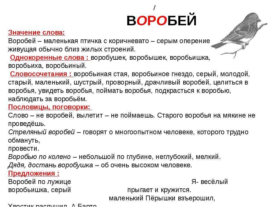 Разведение цесарок - содержание цесарок - птицеводство - собственник