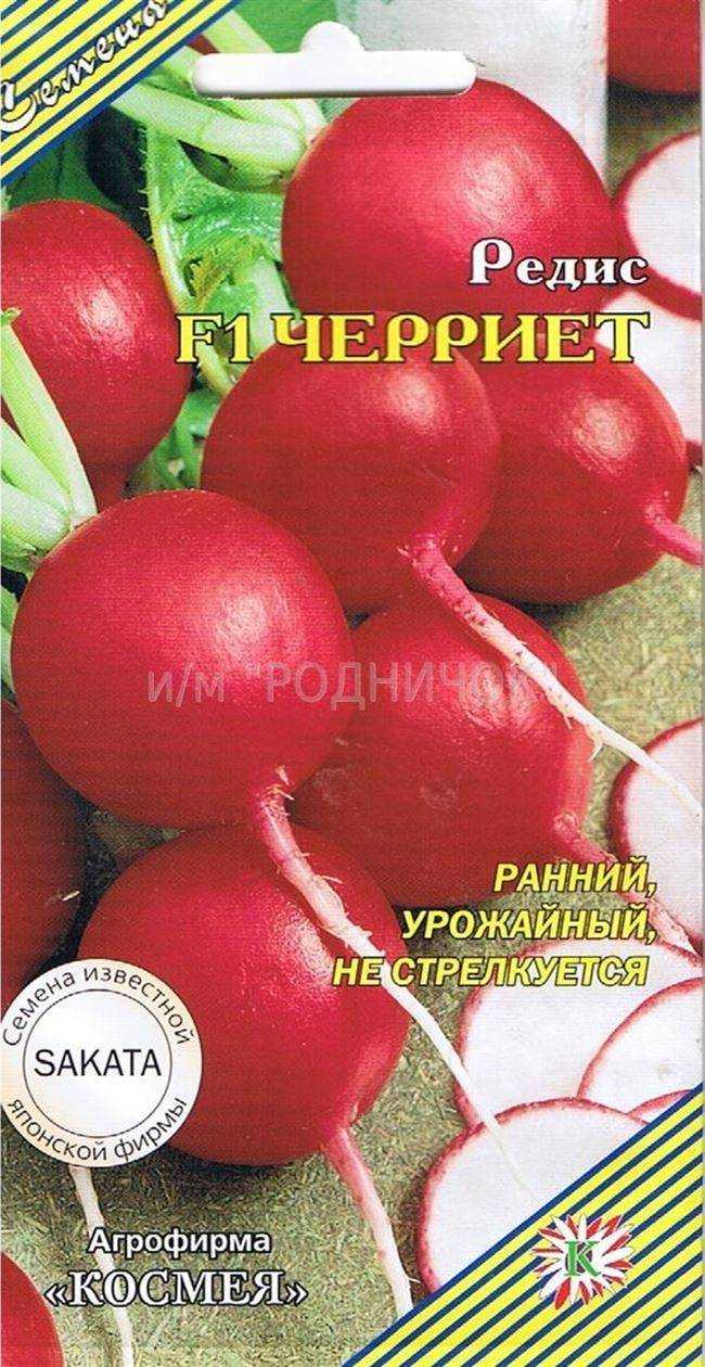 Редис черриэт f1: характеристика и описание гибрида, выращивание и уход
