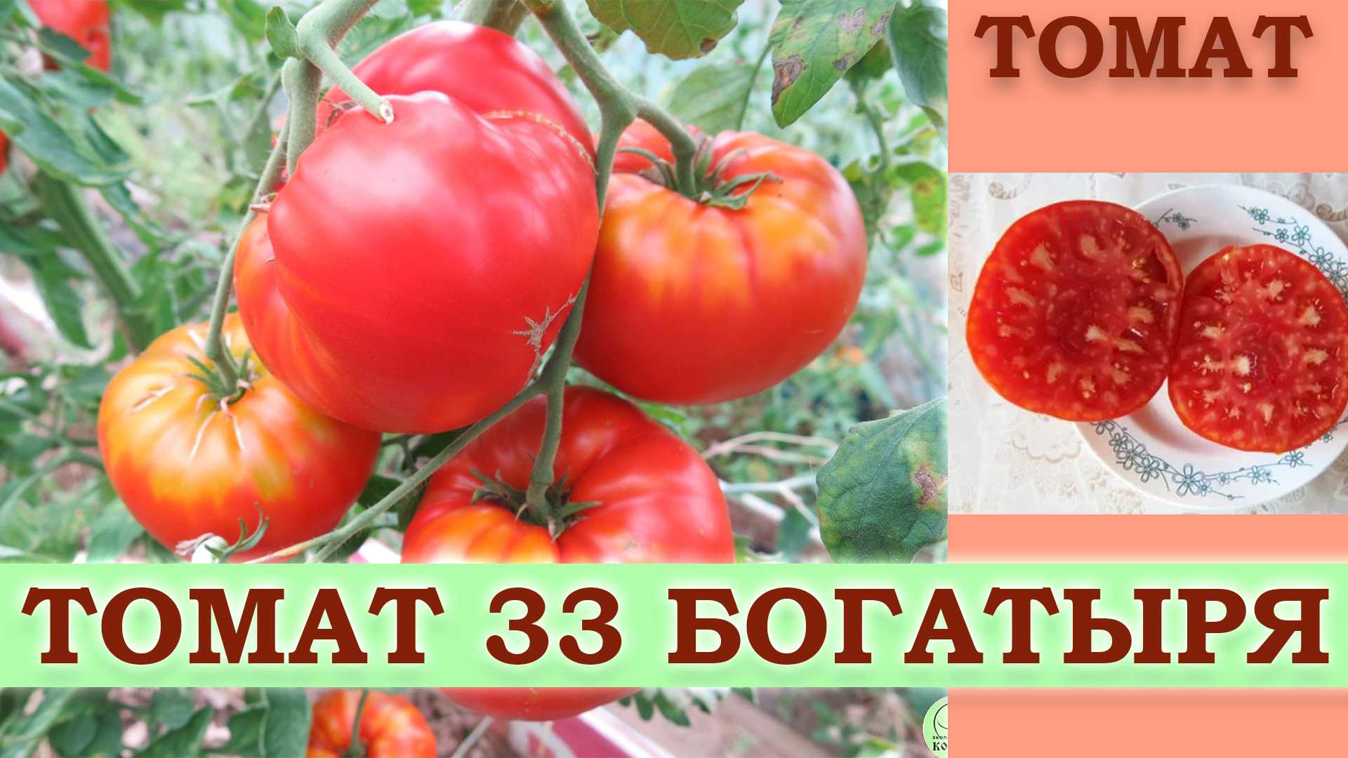 Богатырские плоды с сладким вкусом — томат илья муромец: описание сорта и его характеристики