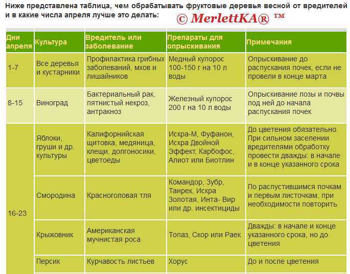 Обработка яблонь и сроки опрыскивания: фунгициды, гербицид | tele4n.net